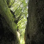Podere Di Maggio - Seccatoio Kır Evi Santa Fiora