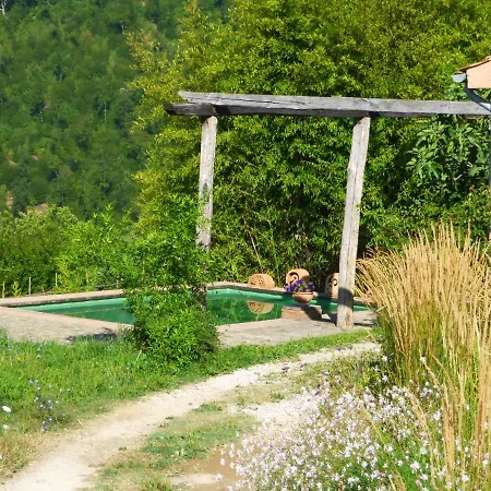 Podere Di Maggio - Seccatoio * Santa Fiora