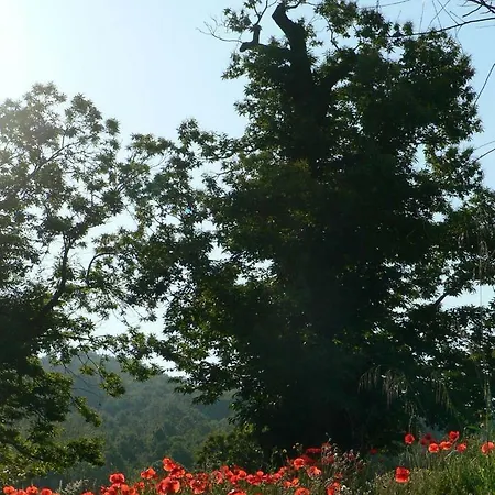 Podere Di Maggio - Seccatoio Kır Evi