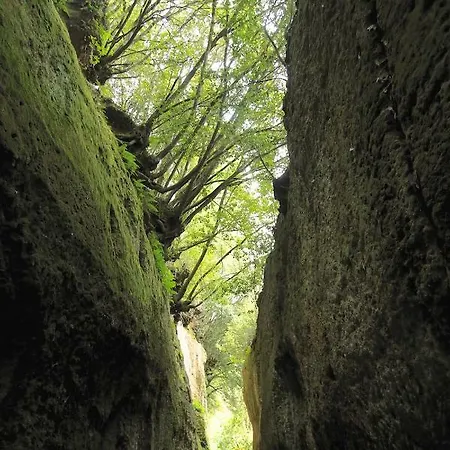 Podere Di Maggio - Seccatoio Kır Evi Santa Fiora